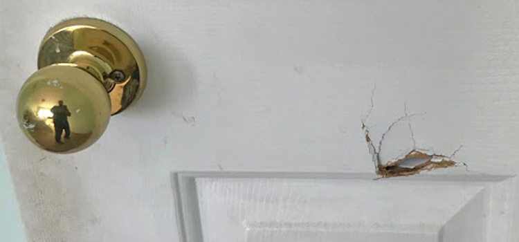 interior door hole repair Hillsborough