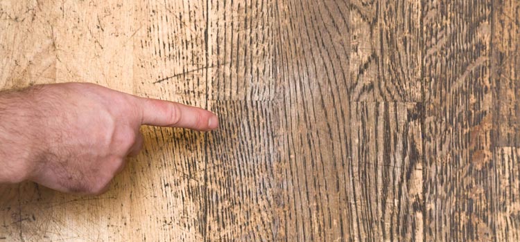 Wood Door Scratch Repair in Hillsborough